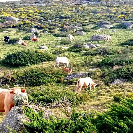 Navaquesera Mirador De Gredos * Ávila