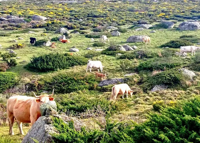 Navaquesera Mirador De Gredos * Ávila