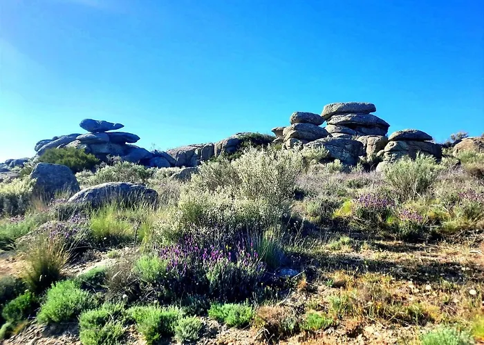 Navaquesera Mirador De Gredos *